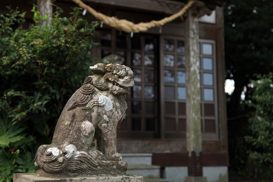 船塚山のヤマザクラ