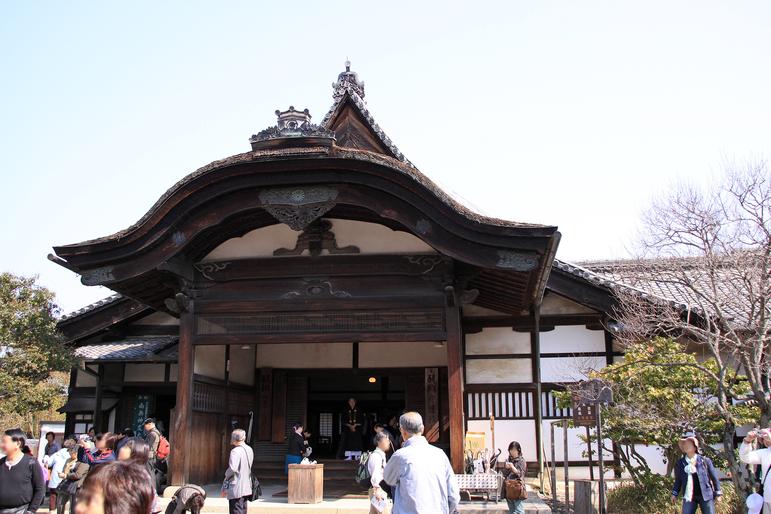 三宝院 枝垂桜（醍醐寺） 
