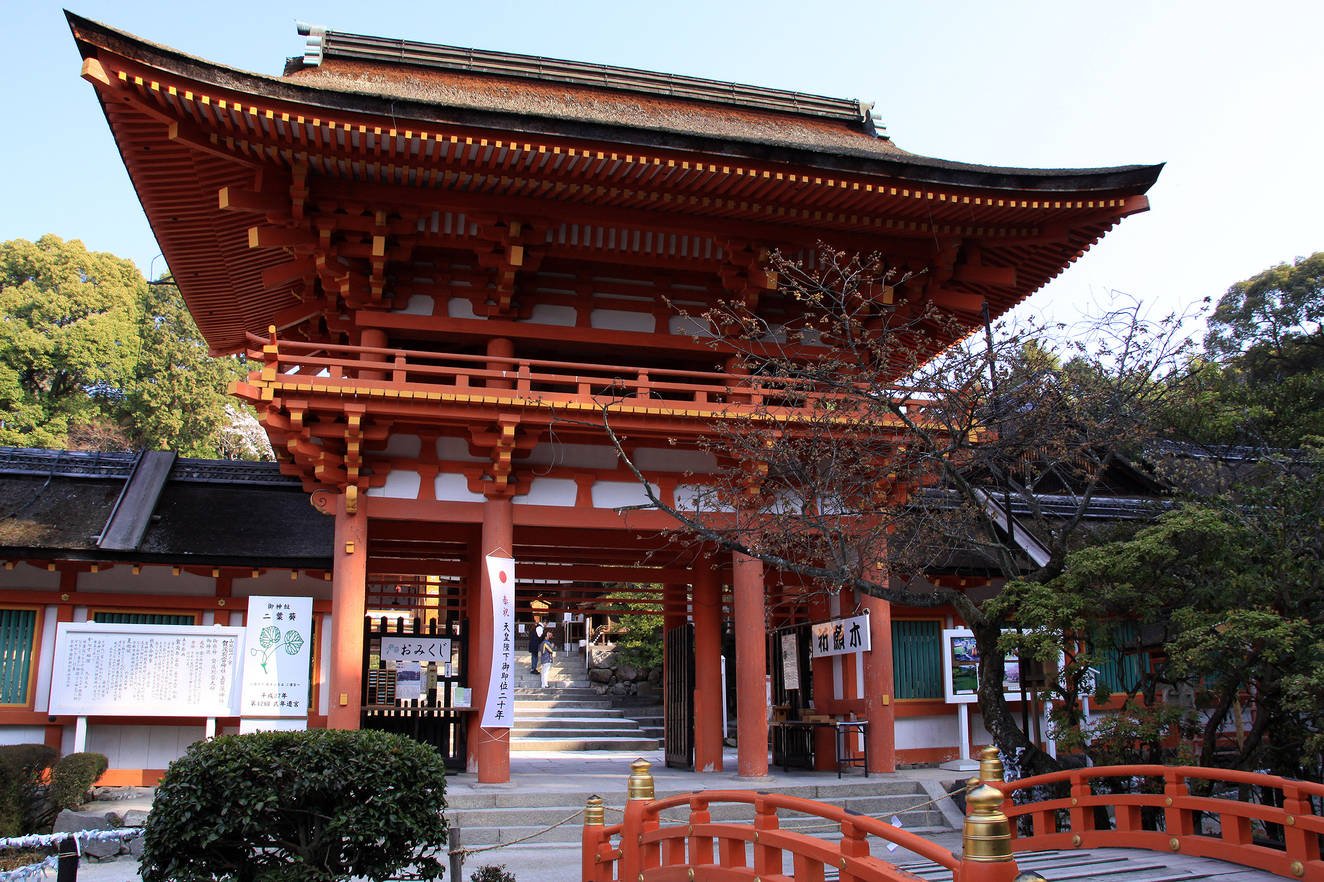 上賀茂神社 斎王桜 