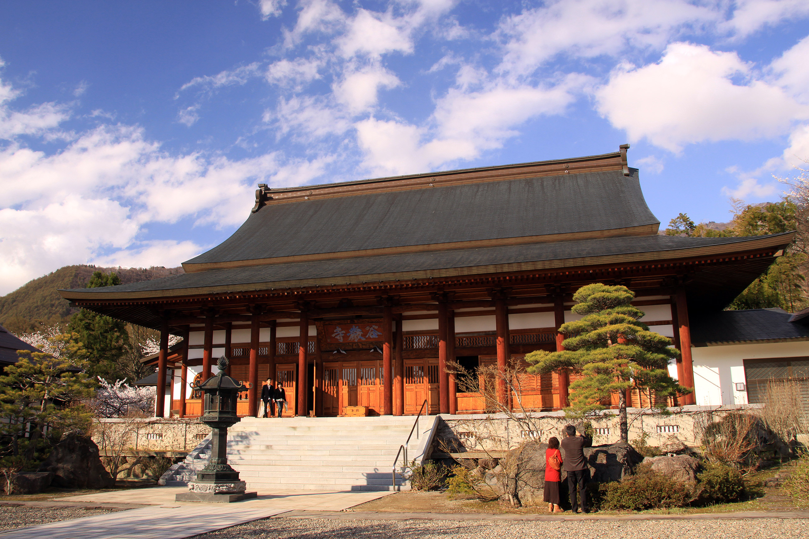 谷厳寺のしだれ桜 