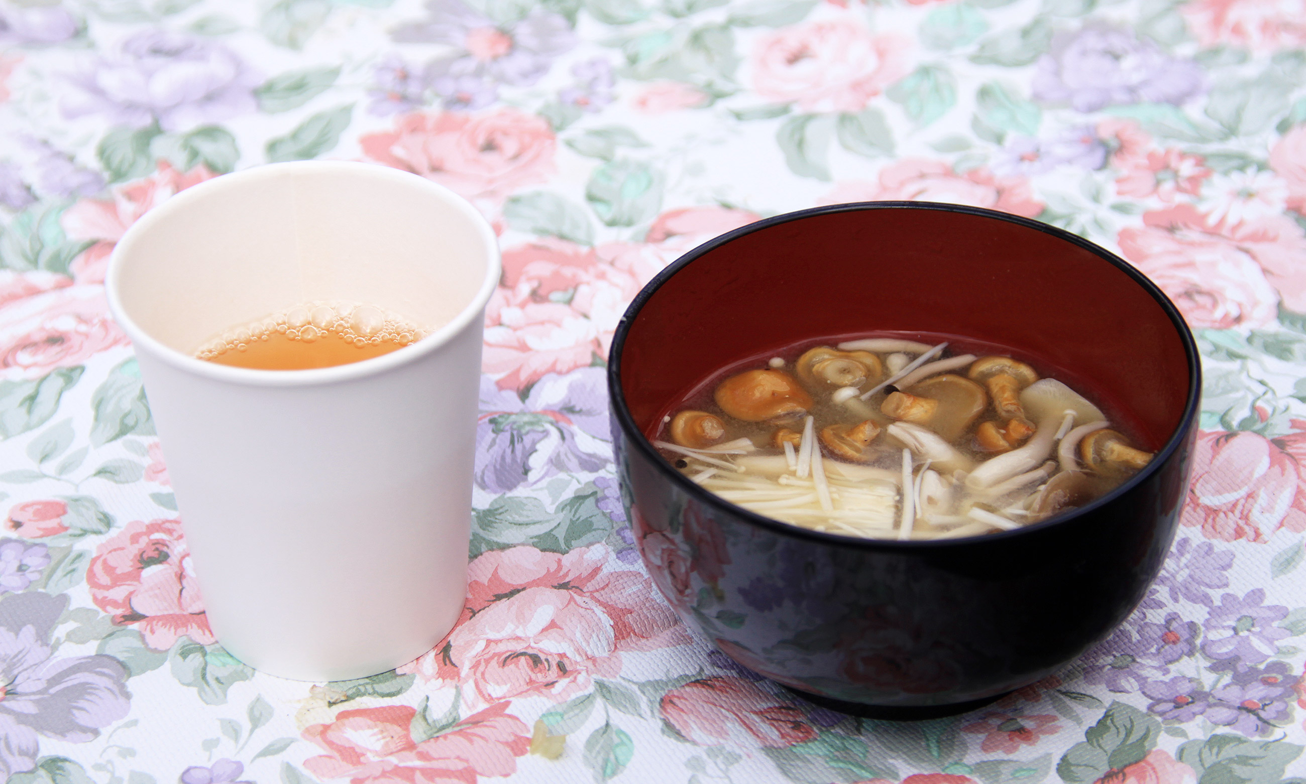 宇木区民会館前のしだれ桜
