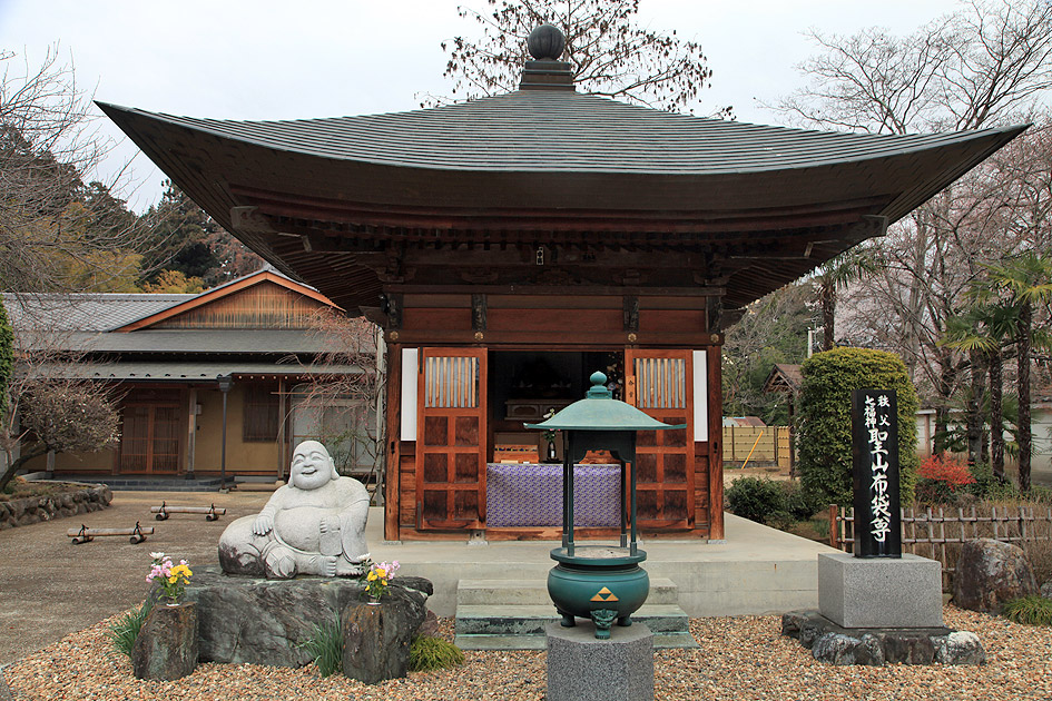 金仙寺のしだれ桜