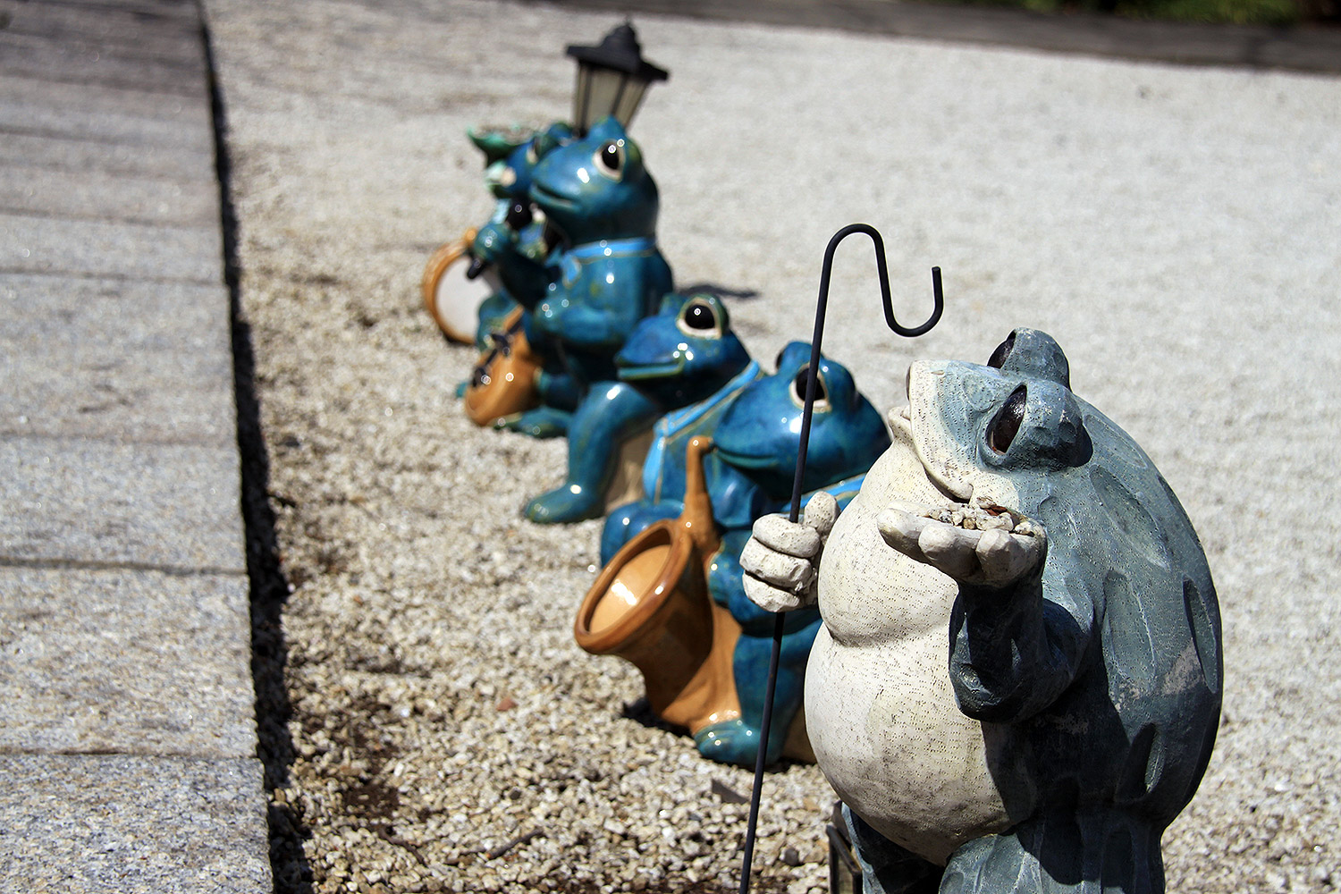 大光寺 しだれ桜