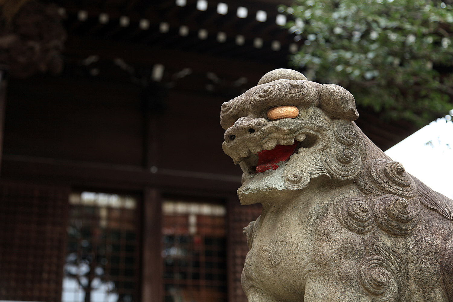 白山神社　白山旗桜 