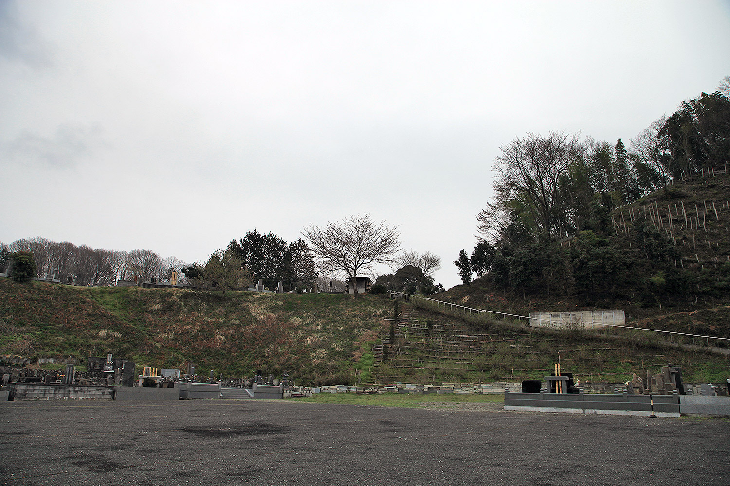 心源院のしだれ桜