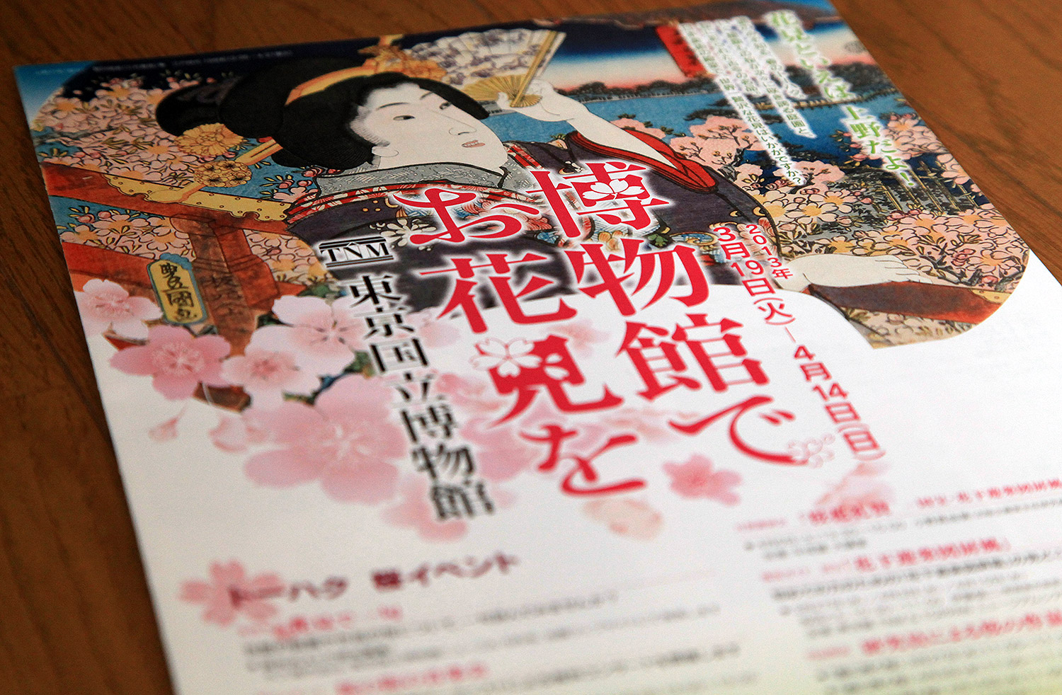 東京国立博物館　吉野枝垂桜 